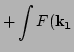 $\displaystyle + \int 
 F({\bf k_1}$