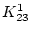 $K^1_{23}$