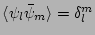 $\langle\psi_l \bar
\psi_m\rangle=\delta^m_l$