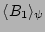 $\langle B_1 \rangle_\psi$
