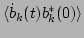 $\displaystyle \langle \dot{b}_k(t)b_k^*(0)\rangle$