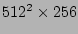 $512^2 \times 256$