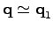 $ \textbf{q}\simeq\textbf{q}_1$