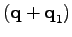 $ (\textbf{q}+\textbf{q}_1)$