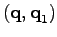 $ (\textbf{q},\textbf{q}_1)$