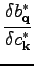 $\displaystyle \frac{\delta b_\textbf{q}^*}{\delta c_\textbf{k}^*}$