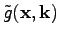 $ \tilde{g}(\textbf{x},\textbf{k})$
