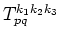 $T^{k_1 k_2 k_3}_{p q}$