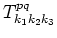 $T_{k_1 k_2 k_3}^{p q}$
