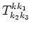 $T^{k k_1}_{k_2 k_3}$