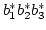$b_1^*b_2^*b_3^*$