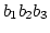$b_1b_2b_3$