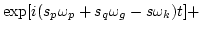 $\displaystyle \exp [i(s_p\omega_p+s_q\omega_g-s\omega_k)t]+$