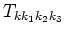 $T_{k k_1 k_2 k_3}$