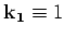 ${\bf k_1}\equiv 1$