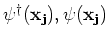 $\psi^\dagger({\bf
x_j}), \psi({\bf x_j})$