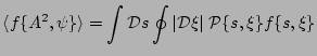 $\displaystyle \langle f\{A^2, \psi \} \rangle = \int {\cal D}s \oint \vert{\cal D} \xi\vert \; {\cal P} \{s, \xi \} f\{s, \xi \}$