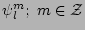 $ \psi_l^m; \; m \in {\cal Z}$