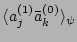 $ \langle a_j^{(1)}\bar a_k^{(0)}\rangle_\psi$