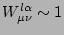 $ W^{l \alpha} _{\mu \nu} \sim 1$
