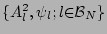 $ \{A_l^2, \psi_l; l {\cal 2 B}_N \}$